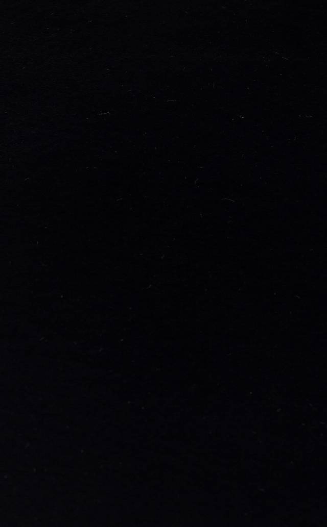 MOLLIS NEW MLS BLACK SINGLE N  Yumuşak Dokulu Uzun Tüylü Yıkanabilir Tavşan Postu