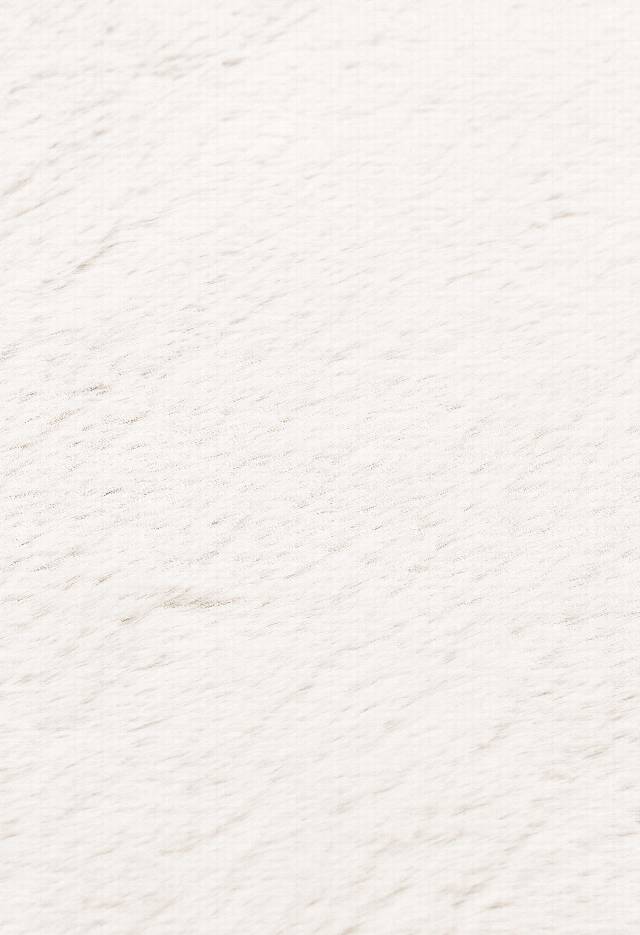 MOLLIS PLAIN MLS PLAIN SINGLE L.BEIGE  Yumuşak Tuşeli Yıkanabilir Kaymaz Tabanlı Suni Kürk