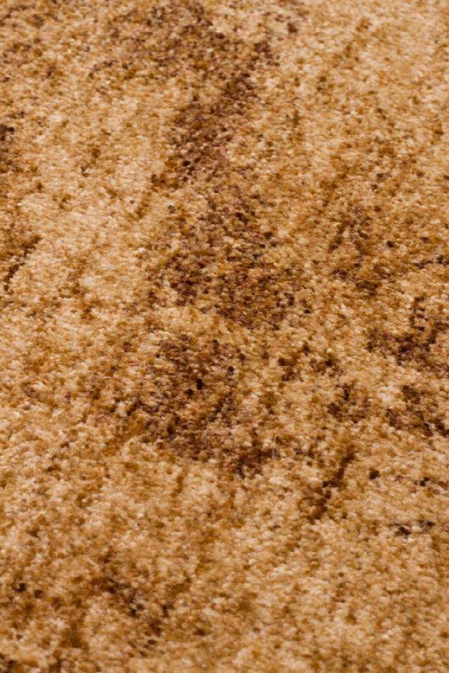 SHIRAZ SHR 01 BEIGE  Vintage Eskitme Desenli Modern Yumuşak Dokulu Makine Halısı